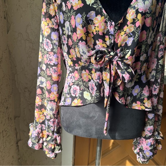 NWT M Free People Maybel Sheer Cropped Pink Floral Blouse with Tie Front (#1,307 - Picture 3 of 16
